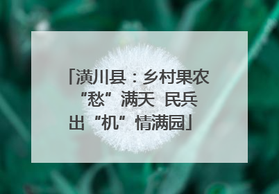 潢川县：乡村果农“愁”满天  民兵出“机”情满园