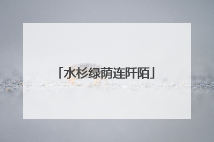 水杉绿荫连阡陌