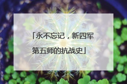 永不忘记，新四军第五师的抗战史