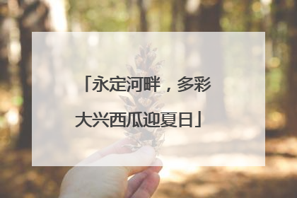 永定河畔，多彩大兴西瓜迎夏日