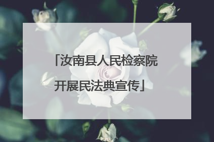 汝南县人民检察院开展民法典宣传