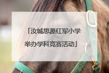 汝城思源红军小学举办学科竞赛活动