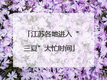 江苏各地进入“三夏”大忙时间