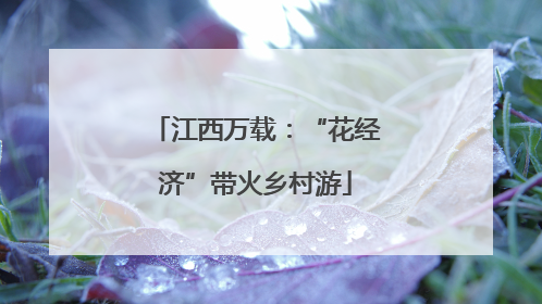 江西万载：“花经济”带火乡村游