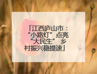 江西庐山市：“小路灯”点亮“大民生” 乡村振兴稳提速