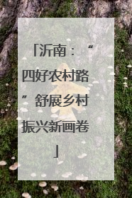 沂南：“四好农村路”舒展乡村振兴新画卷