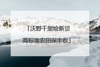 沃野千里绘新景 高标准农田保丰收