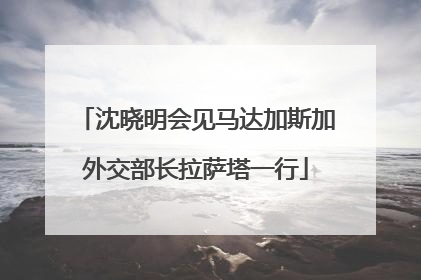 沈晓明会见马达加斯加外交部长拉萨塔一行