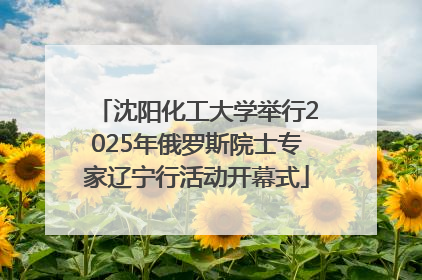 沈阳化工大学举行2025年俄罗斯院士专家辽宁行活动开幕式
