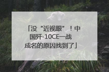 没“近视眼”！中国歼-10CE一战成名的原因找到了