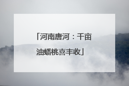 河南唐河：千亩油蟠桃喜丰收