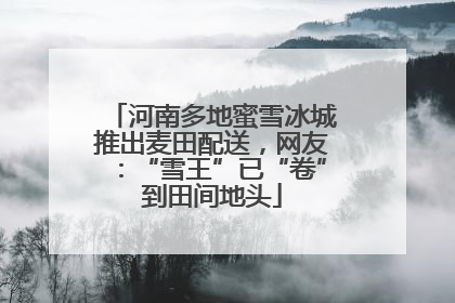 河南多地蜜雪冰城推出麦田配送，网友：“雪王”已“卷”到田间地头