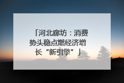 河北廊坊：消费势头稳点燃经济增长“新引擎”