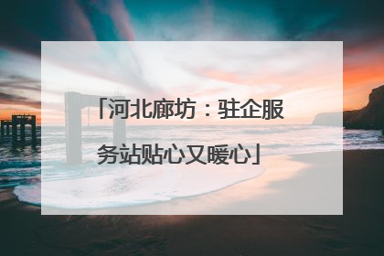 河北廊坊：驻企服务站贴心又暖心
