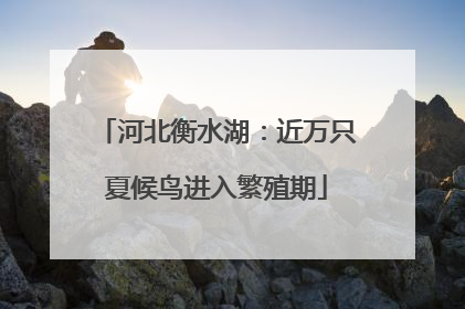 河北衡水湖：近万只夏候鸟进入繁殖期