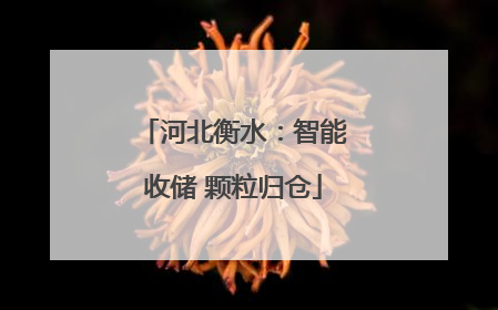 河北衡水：智能收储 颗粒归仓