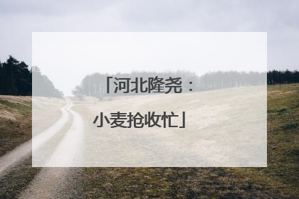 河北隆尧：小麦抢收忙