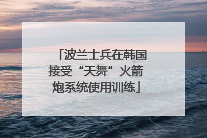 波兰士兵在韩国接受“天舞”火箭炮系统使用训练