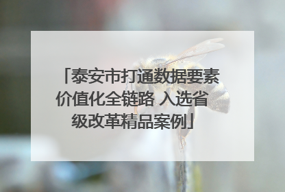泰安市打通数据要素价值化全链路 入选省级改革精品案例