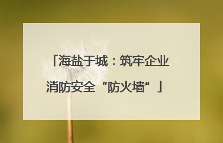 海盐于城：筑牢企业消防安全“防火墙”