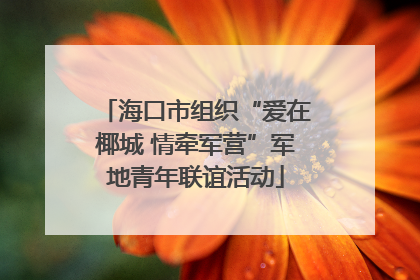 海口市组织“爱在椰城 情牵军营”军地青年联谊活动