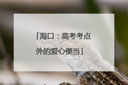 海口：高考考点外的爱心便当