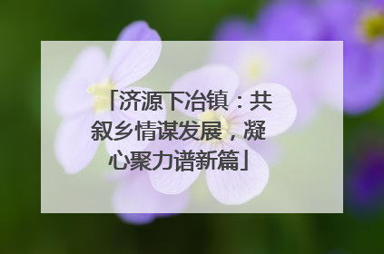 济源下冶镇：共叙乡情谋发展，凝心聚力谱新篇