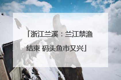 浙江兰溪：兰江禁渔结束 码头鱼市又兴