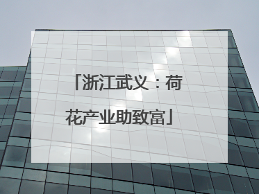 浙江武义：荷花产业助致富