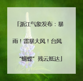 浙江气象发布：暴雨！雷暴大风！台风“蝴蝶”残云抵达