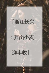 浙江长兴：万亩小麦迎丰收