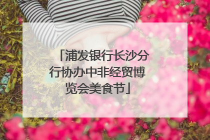 浦发银行长沙分行协办中非经贸博览会美食节