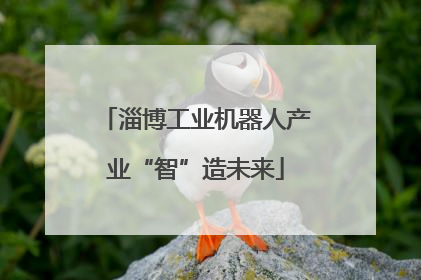 淄博工业机器人产业“智”造未来