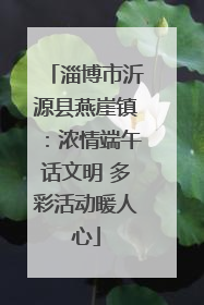 淄博市沂源县燕崖镇：浓情端午话文明 多彩活动暖人心