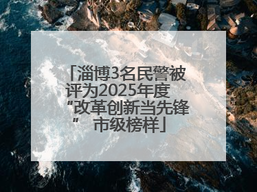 淄博3名民警被评为2025年度“改革创新当先锋” 市级榜样
