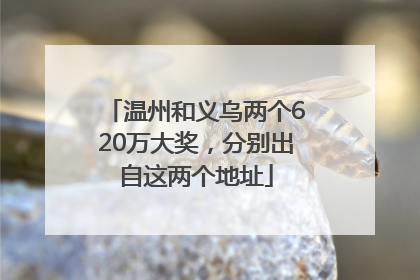 温州和义乌两个620万大奖，分别出自这两个地址