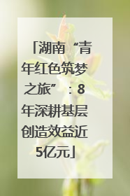 湖南“青年红色筑梦之旅”：8年深耕基层创造效益近5亿元