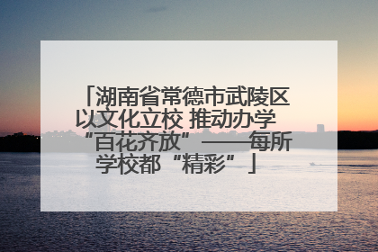 湖南省常德市武陵区以文化立校 推动办学“百花齐放”——每所学校都“精彩”