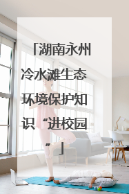 湖南永州冷水滩生态环境保护知识“进校园”