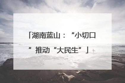 湖南蓝山：“小切口”推动“大民生”
