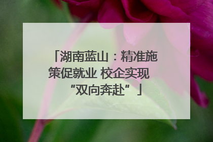 湖南蓝山：精准施策促就业 校企实现“双向奔赴”