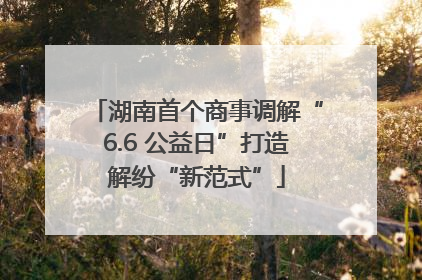 湖南首个商事调解“6.6 公益日”打造解纷“新范式”