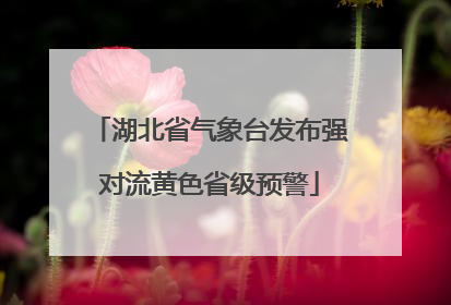 湖北省气象台发布强对流黄色省级预警