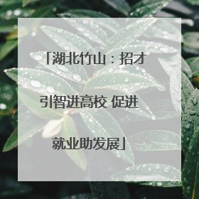 湖北竹山：招才引智进高校 促进就业助发展