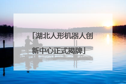 湖北人形机器人创新中心正式揭牌