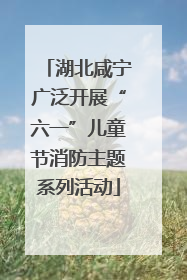 湖北咸宁广泛开展“六一”儿童节消防主题系列活动