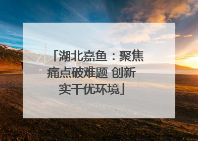 湖北嘉鱼：聚焦痛点破难题 创新实干优环境