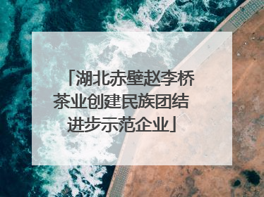 湖北赤壁赵李桥茶业创建民族团结进步示范企业