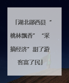 湖北郧西县“桃林飘香”“采摘经济”甜了游客富了民