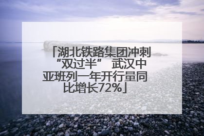湖北铁路集团冲刺“双过半” 武汉中亚班列一年开行量同比增长72%